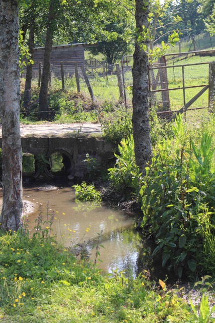 Argueil cours d'eau